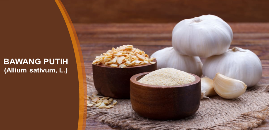 Khasiat Bawang Putih Turunkan Kolesterol